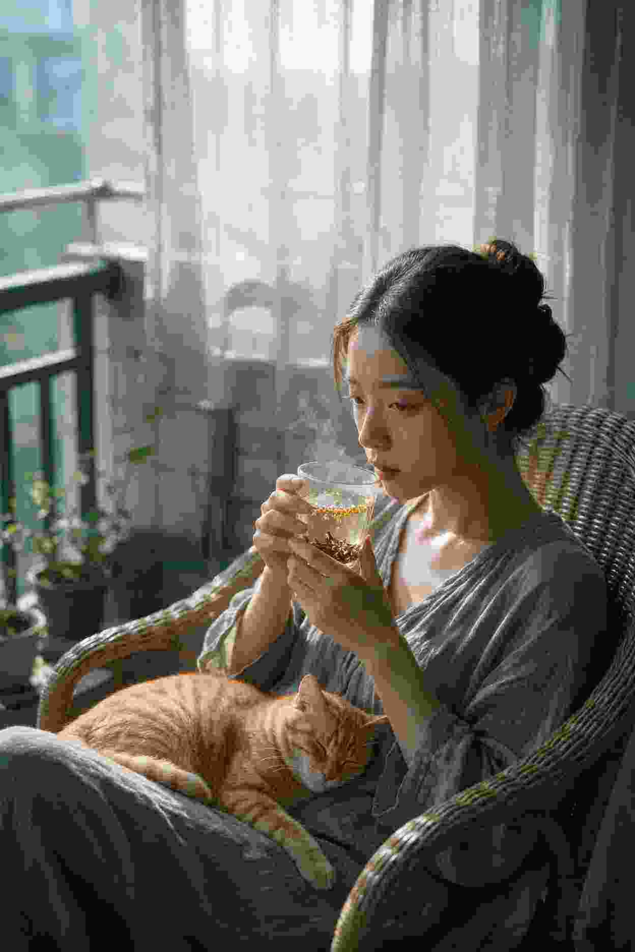 影视作品